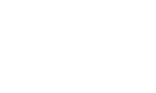 Logo Onset