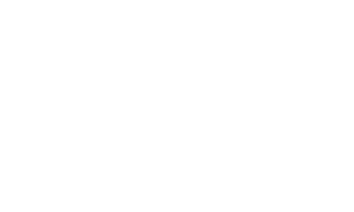 Logo Tok&Stock