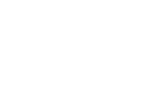 Logo Zyra